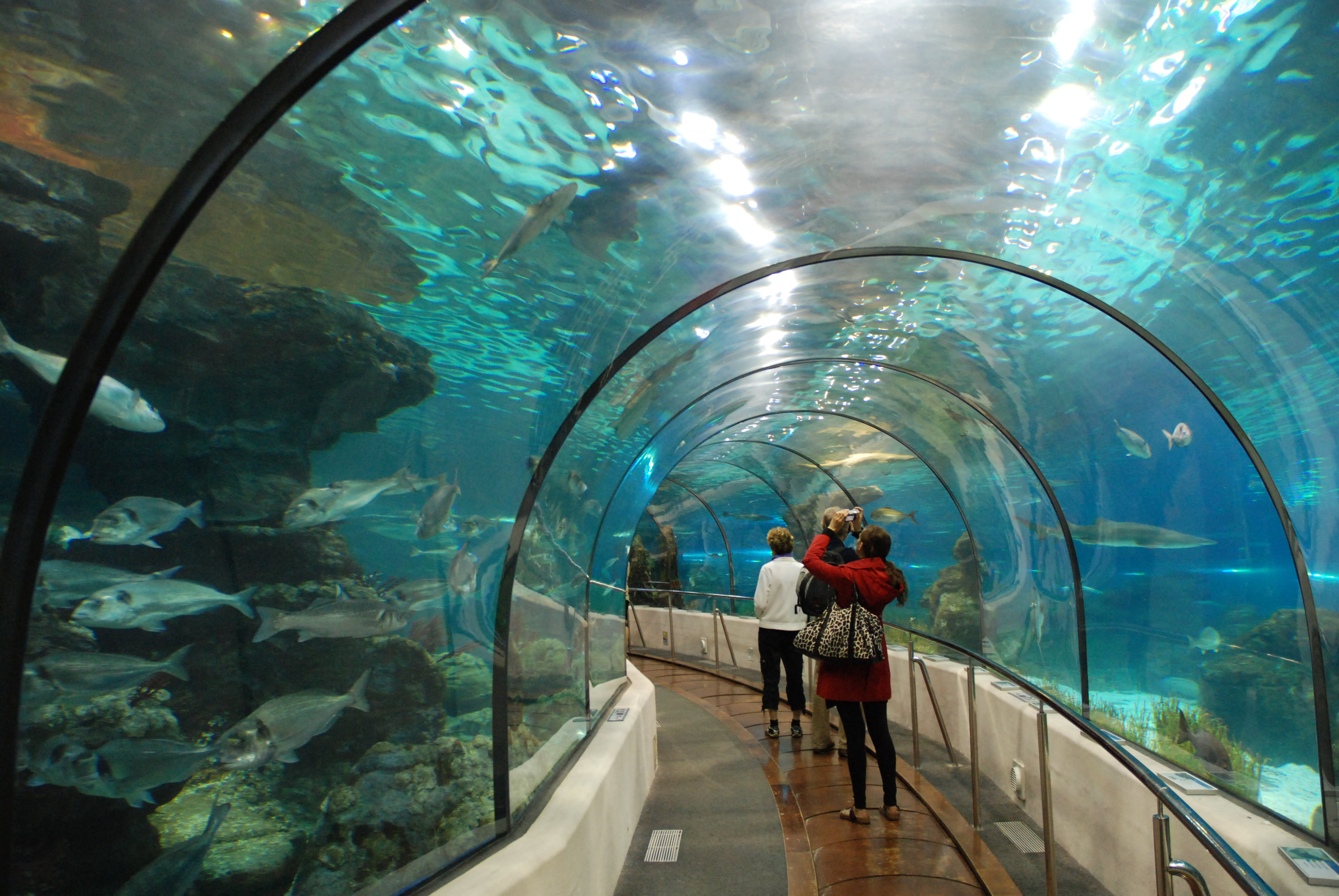 aquarium de barcelone